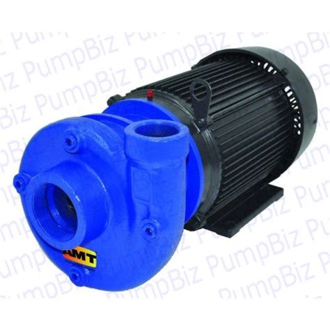 amt model 4250-98 centrifugal pump|AMT 4250.